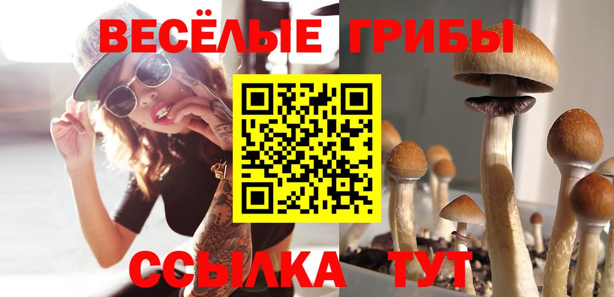 Галлюциногенные грибы MAGIC MUSHROOMS  Вход с VPN  Галлюциногенные грибы Magic Shrooms  Саранск 