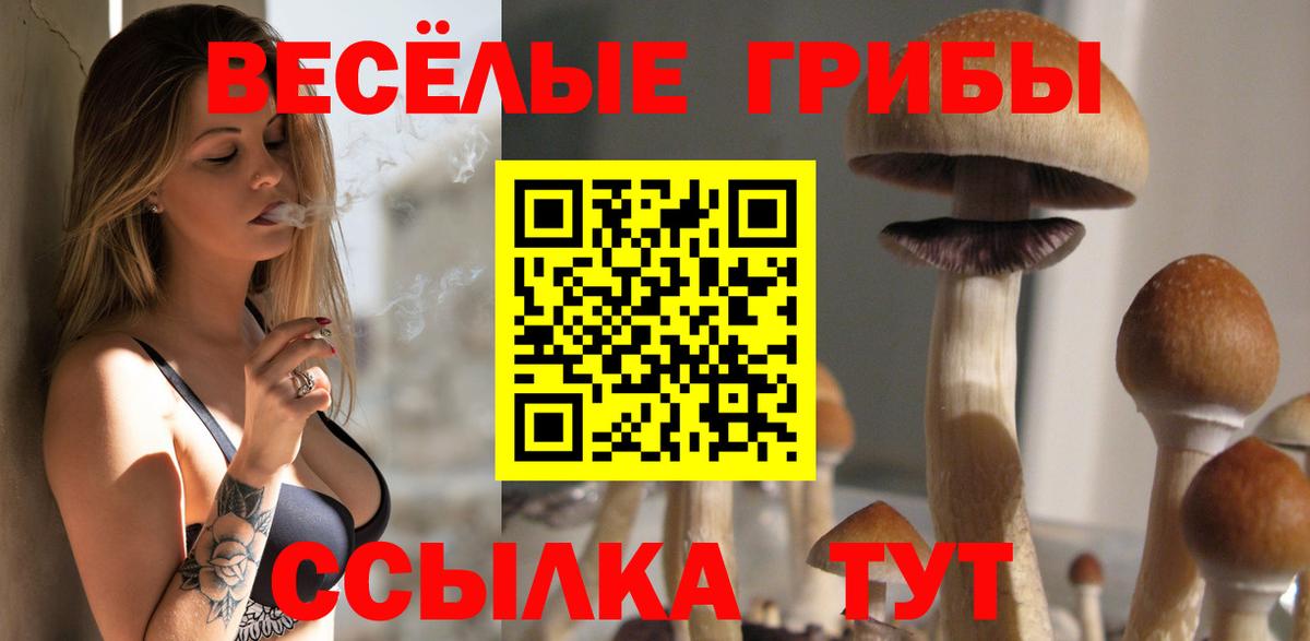 Псилоцибиновые грибы Psilocybe Саранск